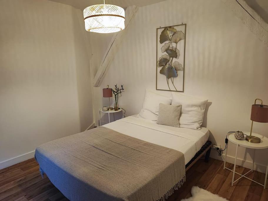 Magnifique Appartement Beaux Arts Tours Esterno foto