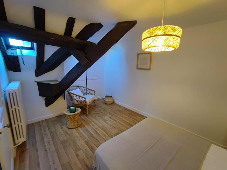 Magnifique Appartement Beaux Arts Tours Esterno foto