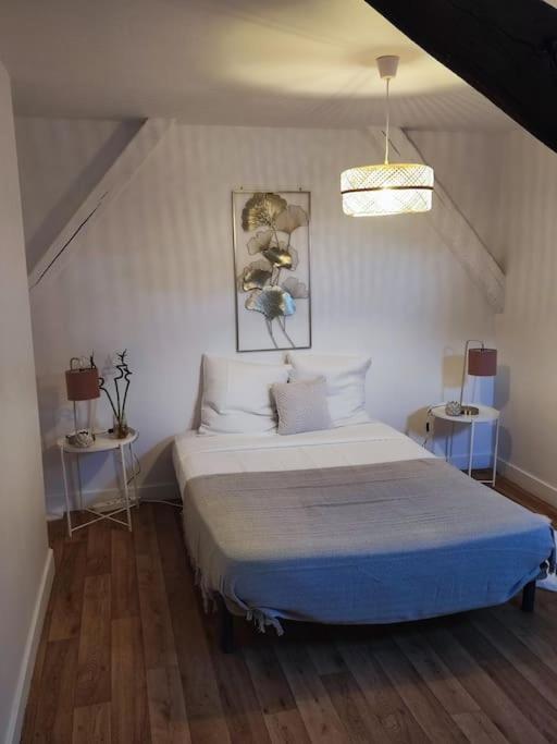 Magnifique Appartement Beaux Arts Tours Esterno foto