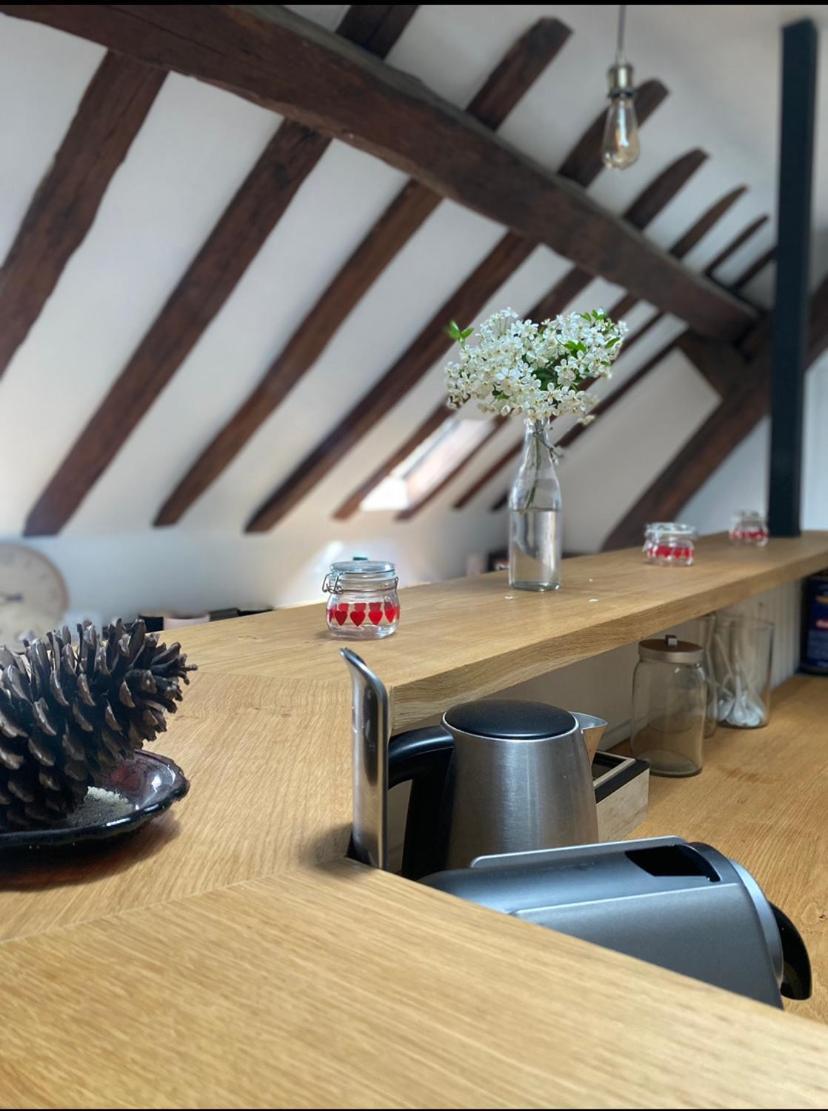 Magnifique Appartement Beaux Arts Tours Esterno foto