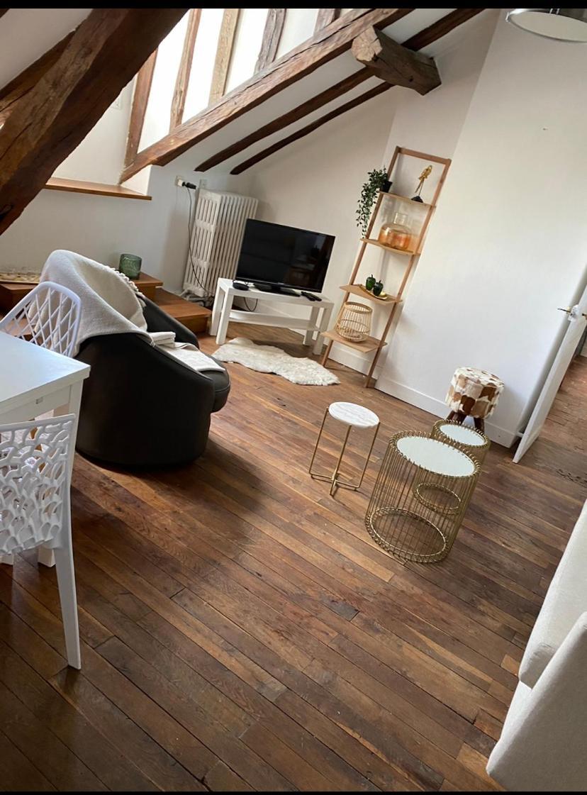 Magnifique Appartement Beaux Arts Tours Esterno foto